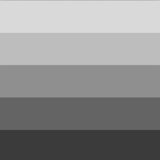 Heidi Grace Designs - metal spectrum 12x12 vellum  (pack of 5)